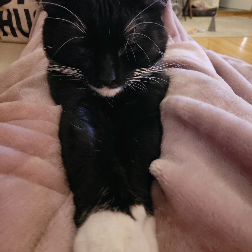 Meet your Posher, Melissa